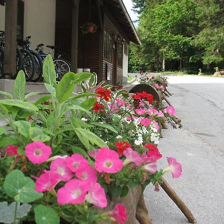 Hotel Gostisce Masun Exterior foto
